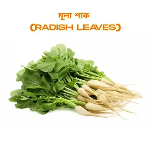 A bunch of fresh radish leaves with white radishes attached, set against a plain white background, labeled in Bengali and English.
