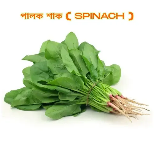 A bunch of fresh spinach with green leaves and visible roots, labeled "পালক শাক (SPINACH)" in a bold orange font.