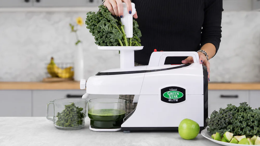 Whole kale leaves, stems intact, being fed into a Tribest Greenstar twin-gear juicer with the tamper.