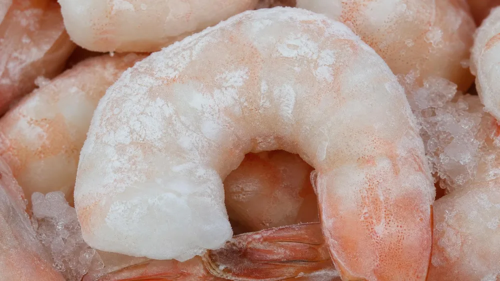 A close-up of frozen shrimp with dry, chalky white freezer-burn patches on the meat surface, ice crystals around the edges.