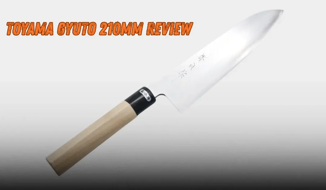 Toyama Gyuto 210 Review: Worth Every Penny in 2025?